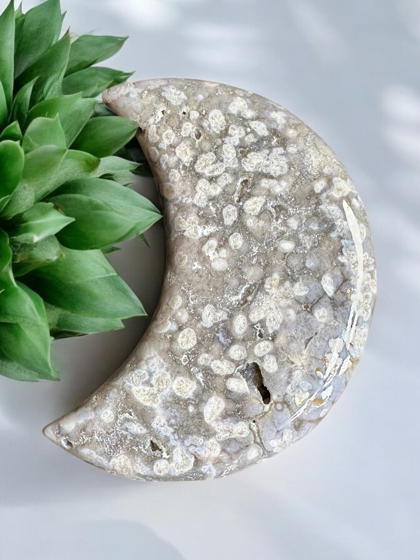 Flower Agate Moon