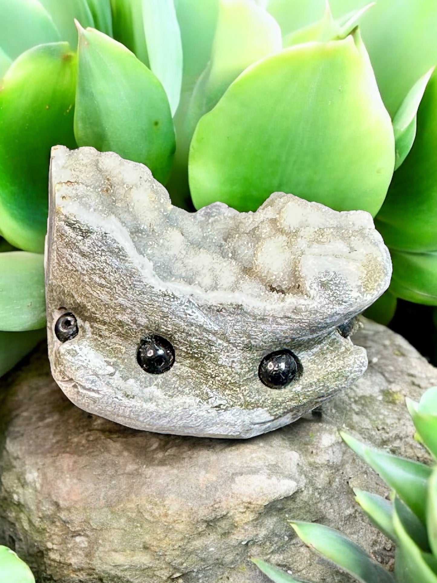 Botryoidal Quartz Hedgehog