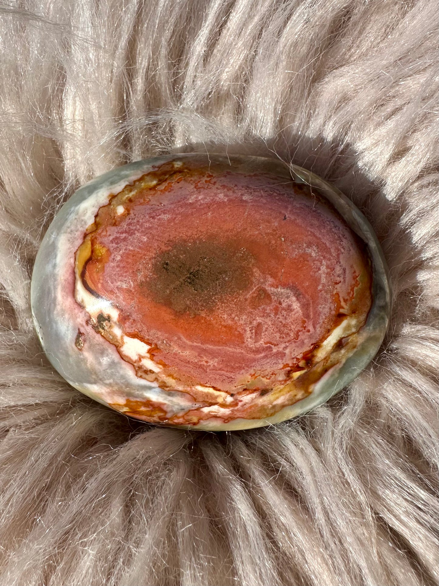 Ocean Jasper Palm