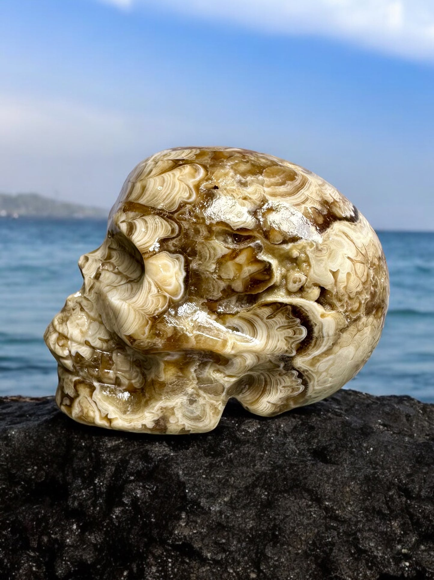 Amber Flower Calcite Skull