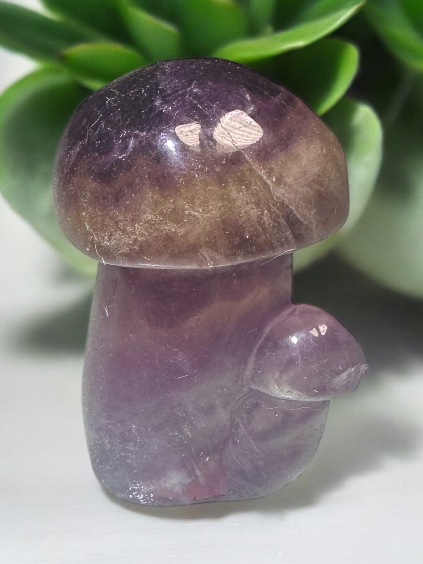 Fluorite Crystal Mushroom