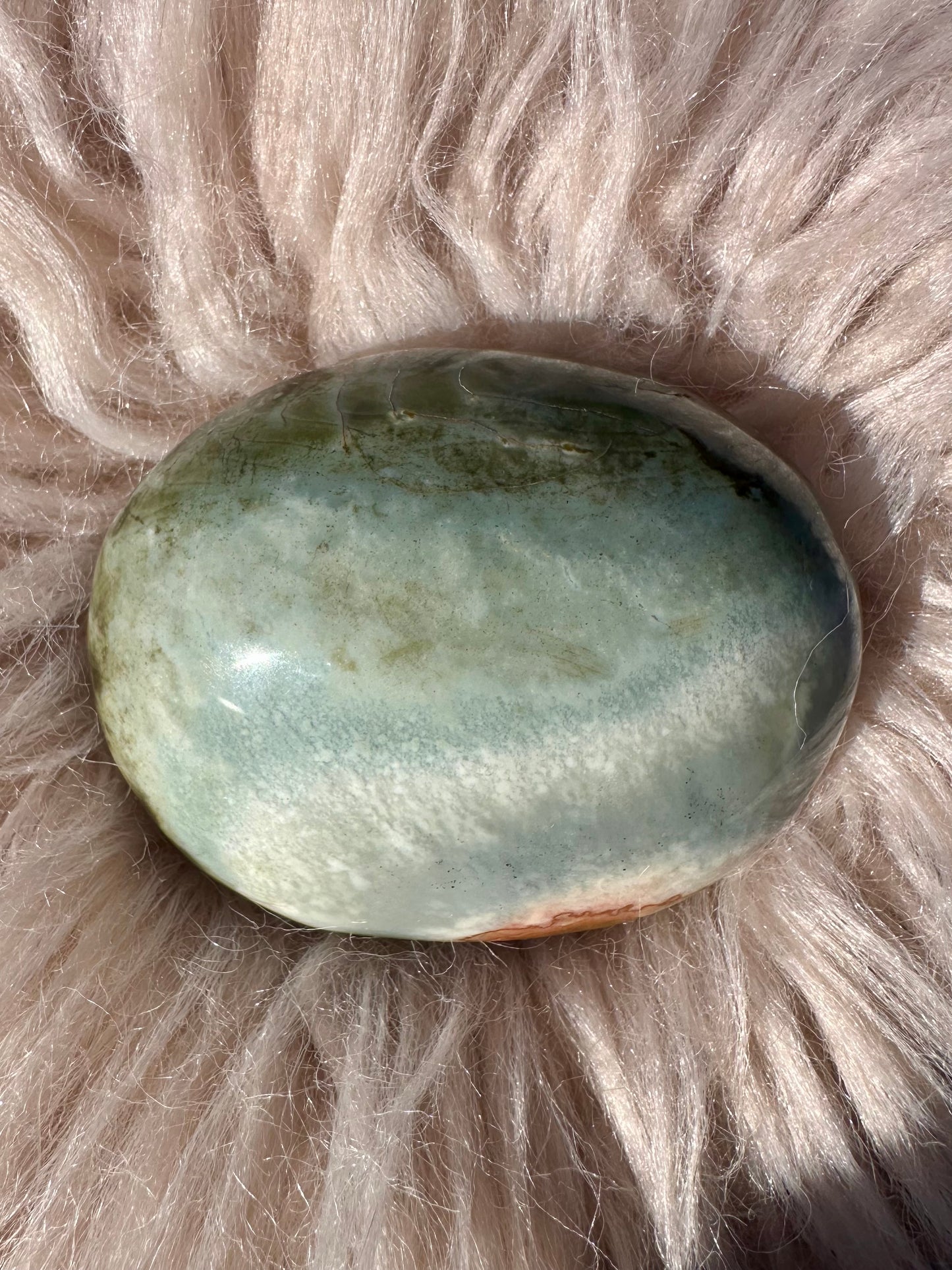 Ocean Jasper Palm