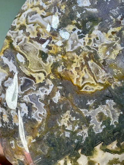 Moss Agate Freeform