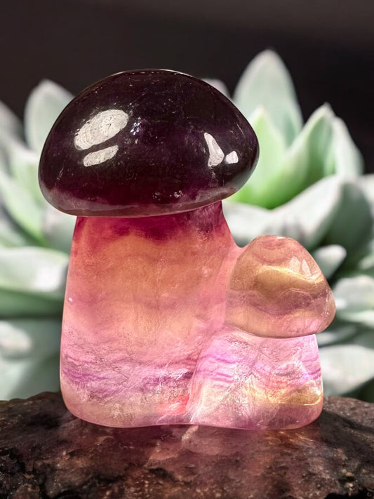 Fluorite Mushroom