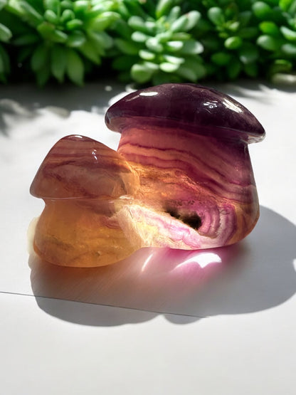 Fluorite Mushroom