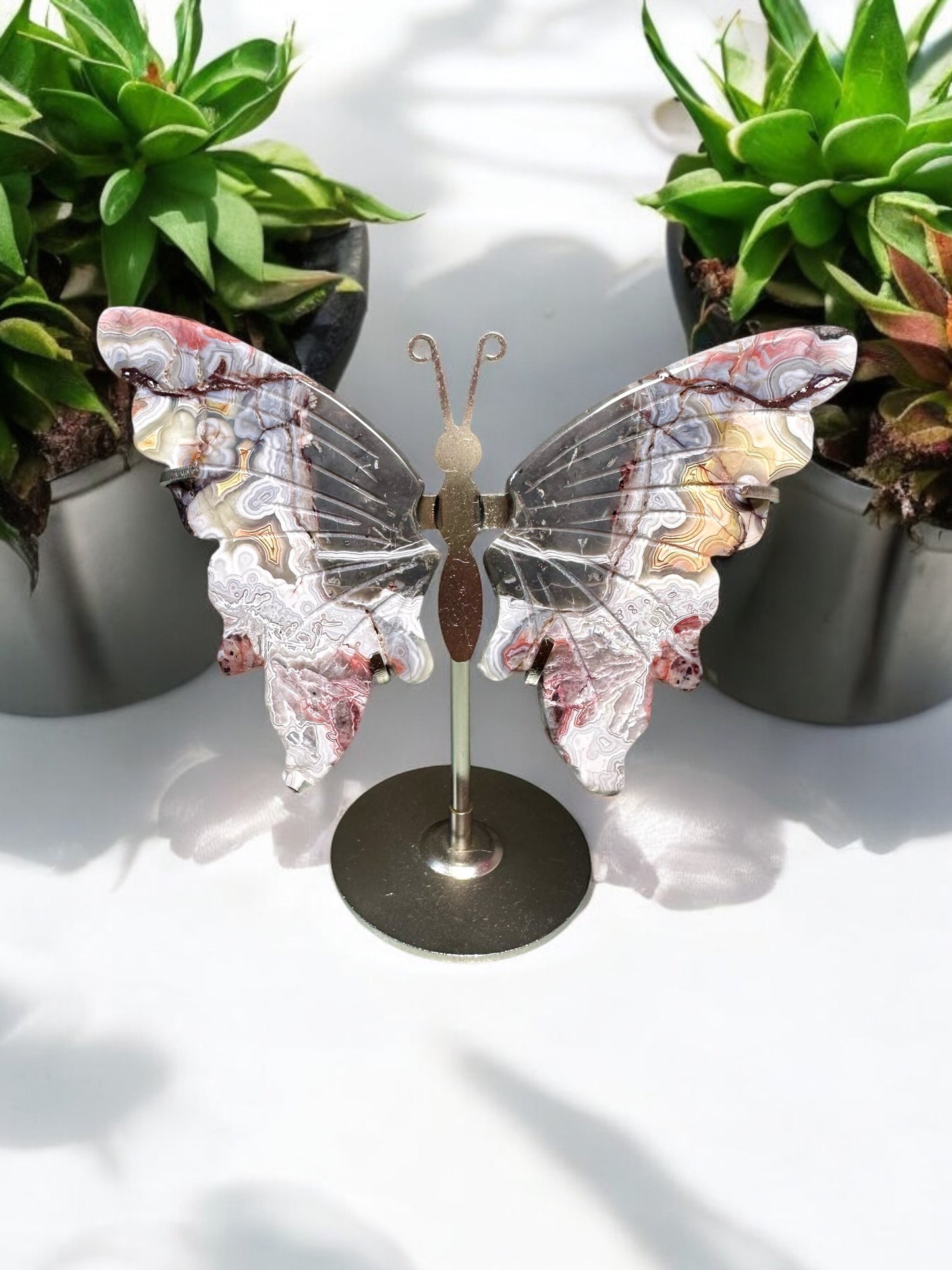 Crazy Lace Agate Crystal Butterfly Wings (on stand)