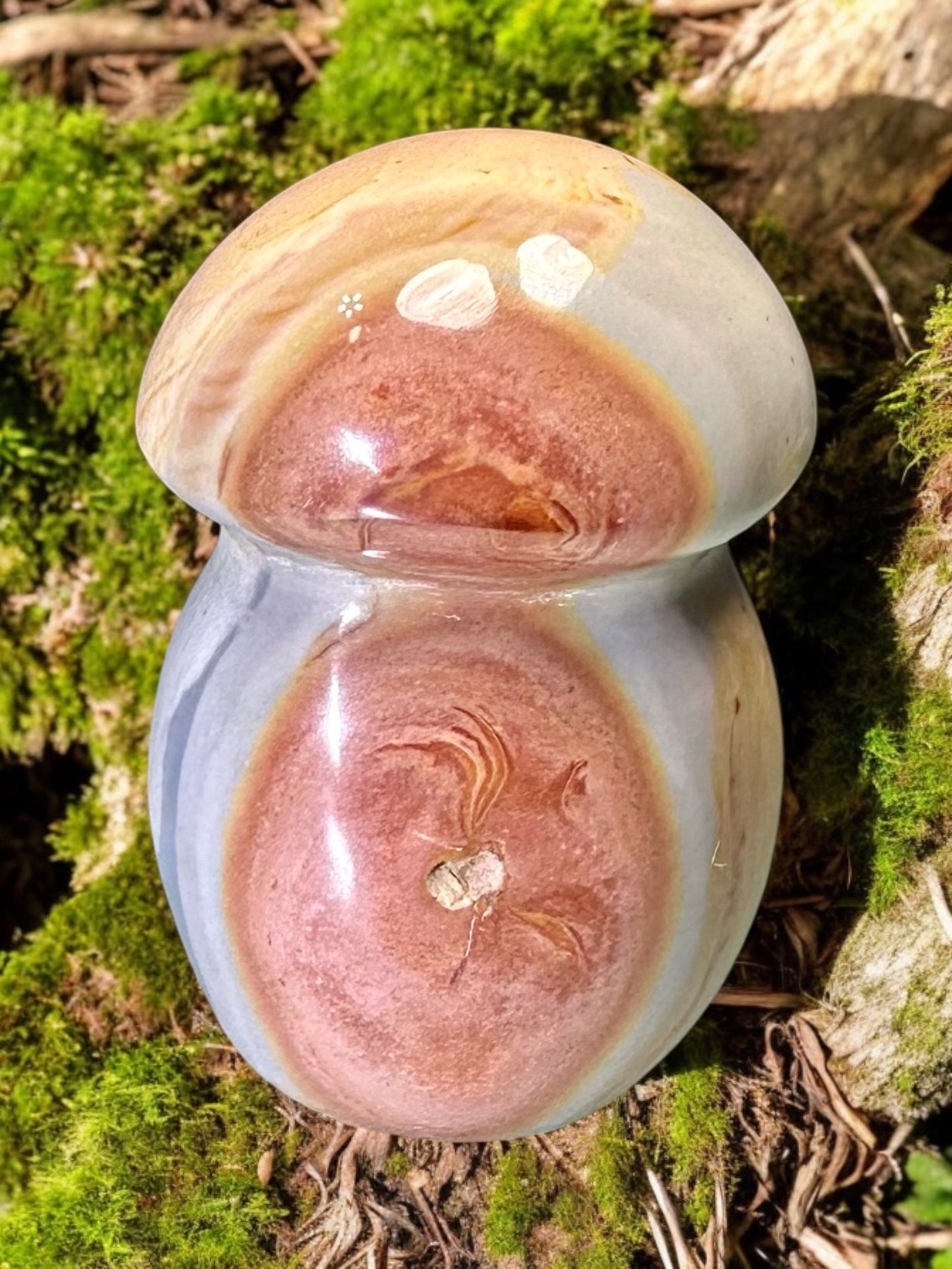 Polychrome Jasper Crystal Mushroom