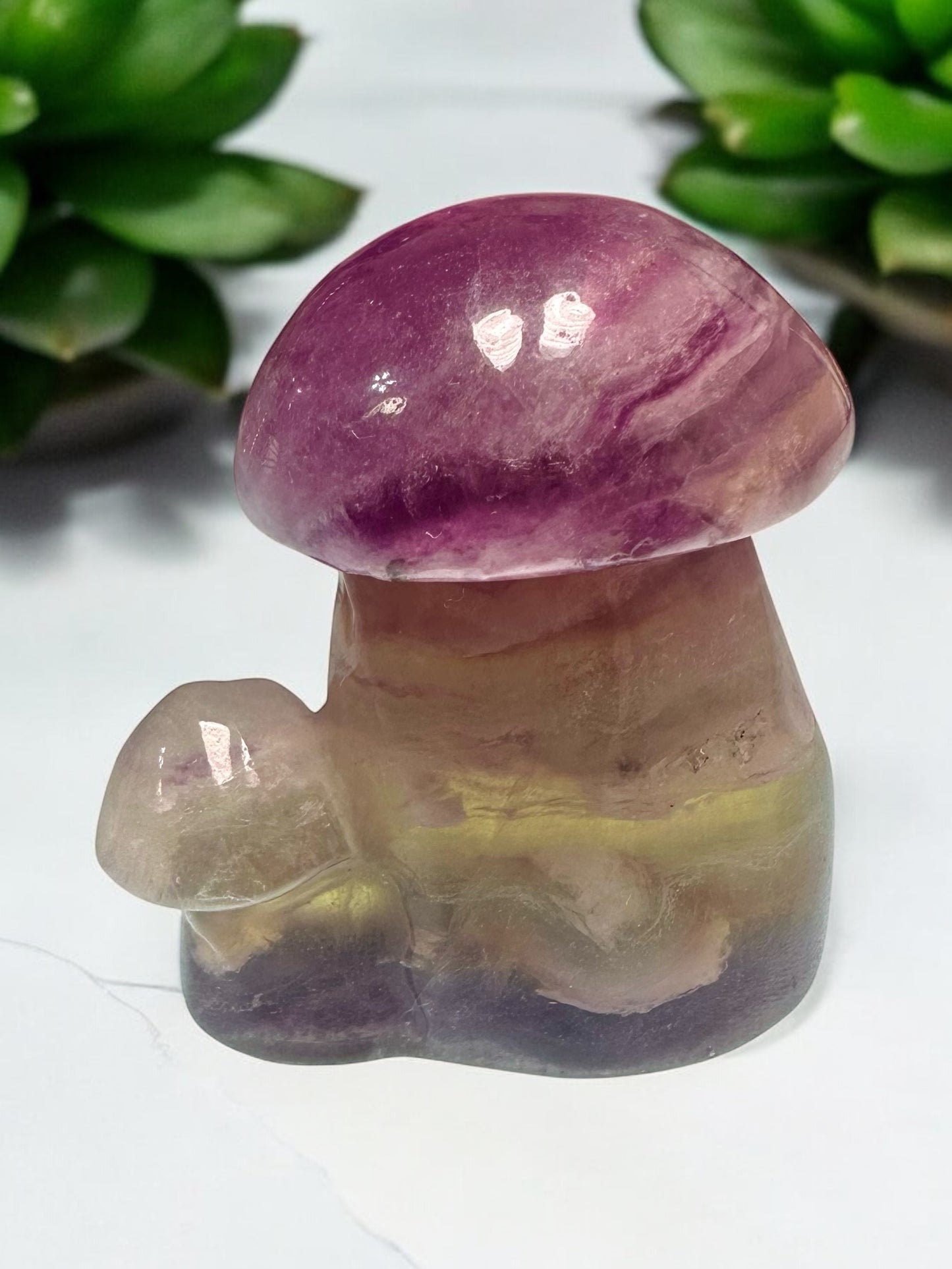 Fluorite Crystal Mushrooms