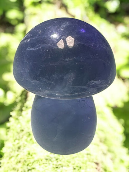 Fluorite Mushroom