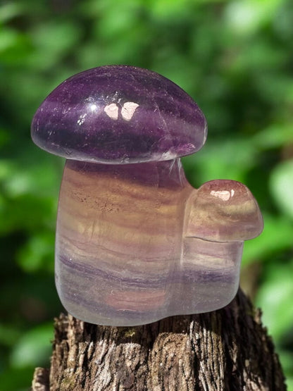 Fluorite Crystal Mushroom