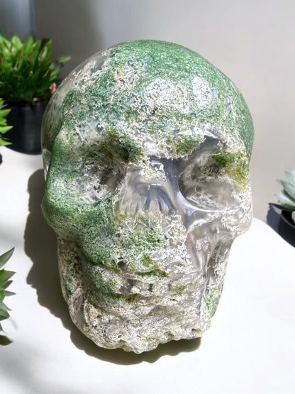 Druzy Moss Agate Crystal Skull