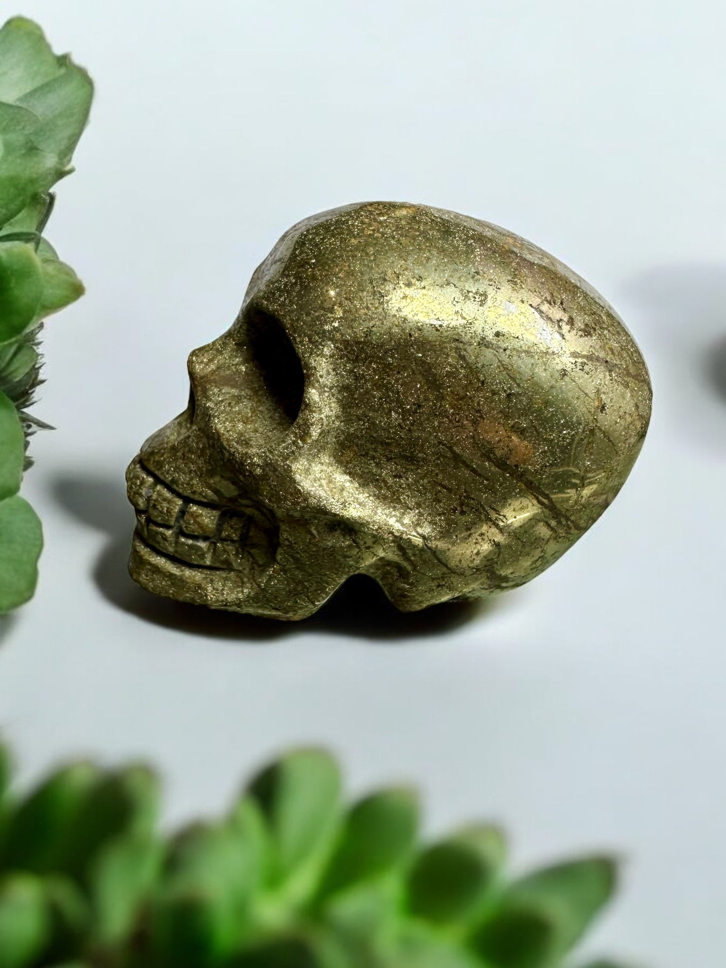 Pyrite Skull