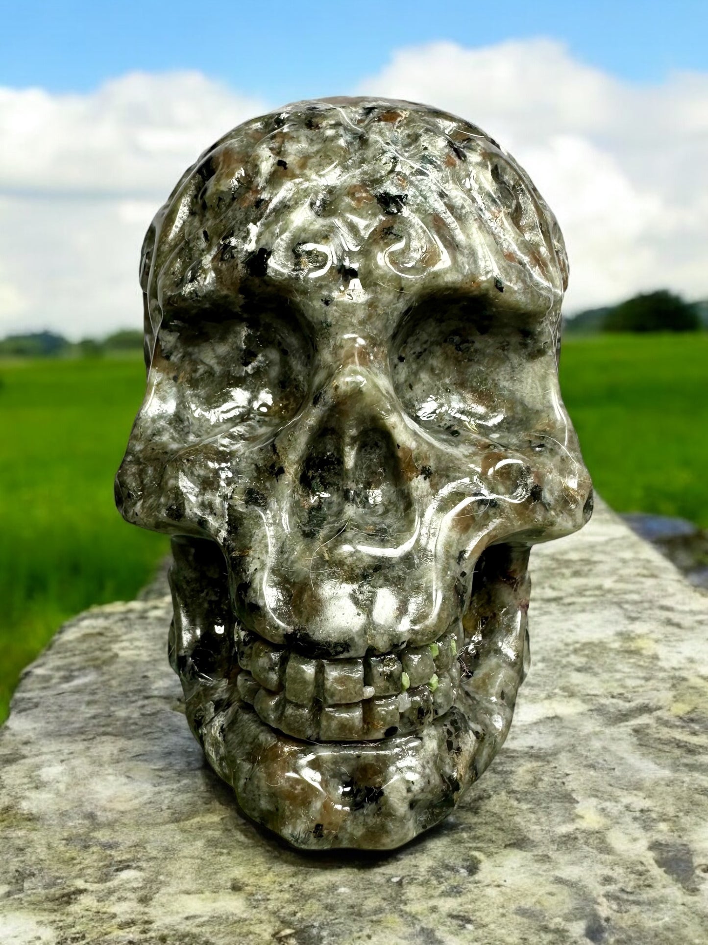 Yooperlite Skull