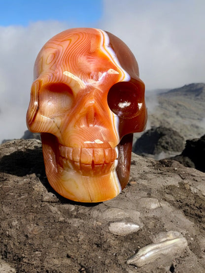 Carnelian Skull