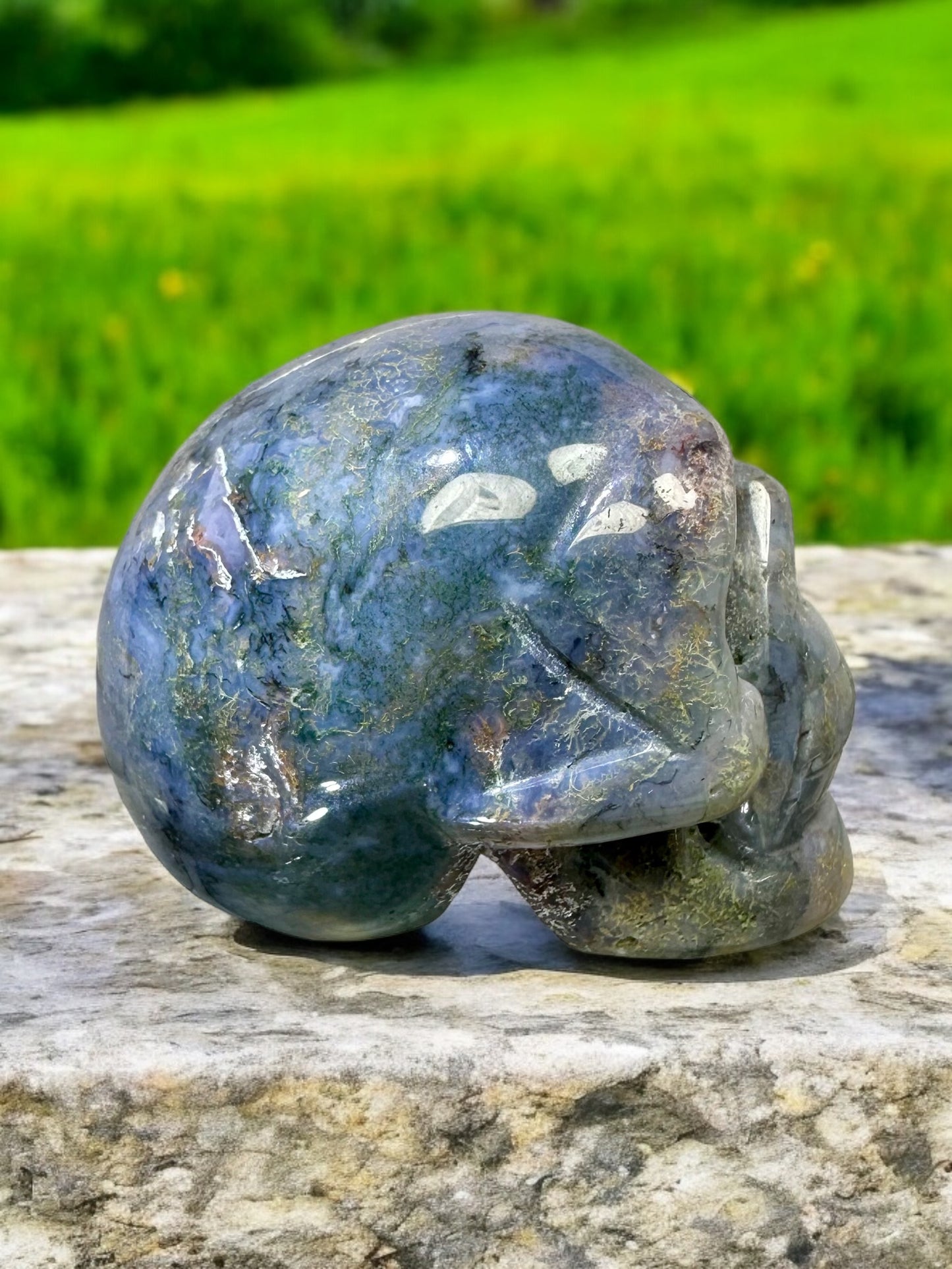 Ocean Jasper Skull