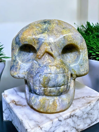 Ocean Jasper Skull