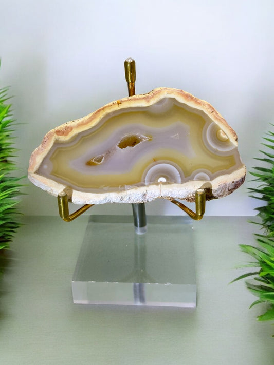 Geode Agate Slice