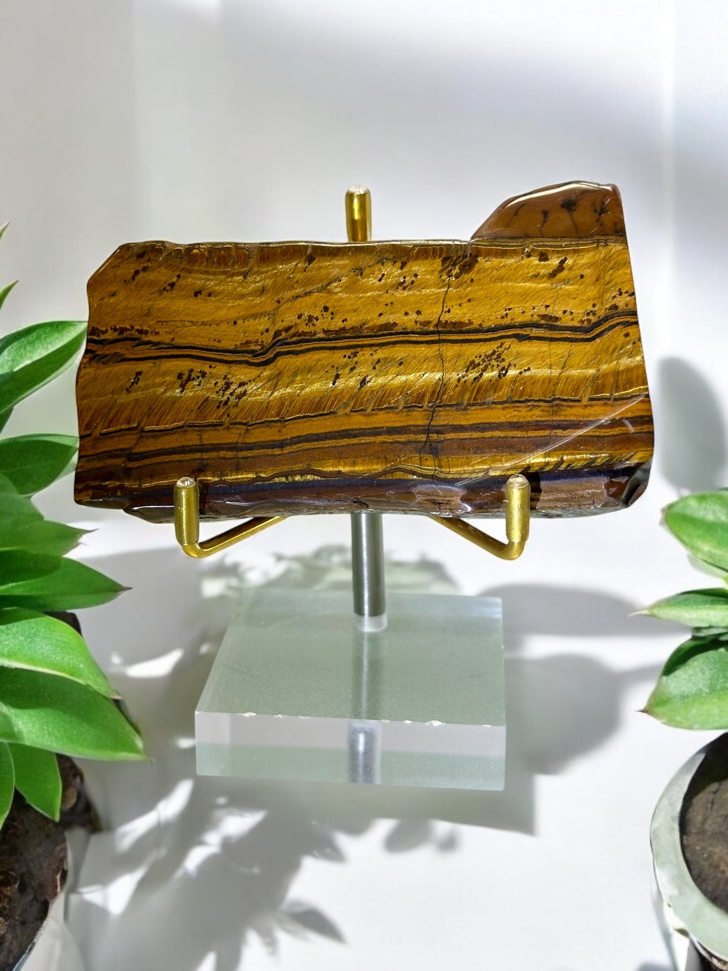 Tigers Eye Slab