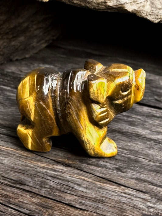 Tigers Eye Bear