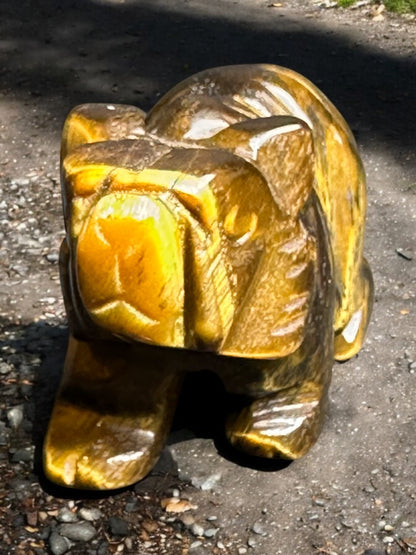 Tigers Eye Bear