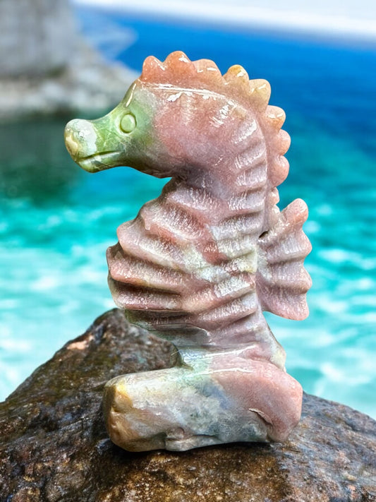 Ocean Jasper Sea Horse