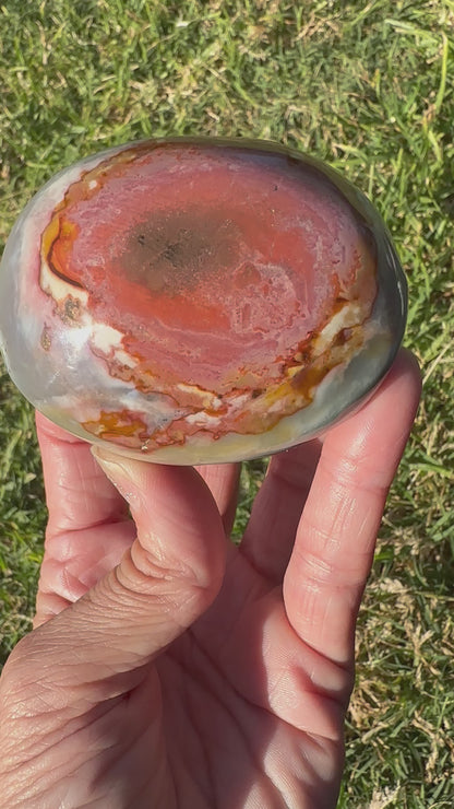 Ocean Jasper Palm