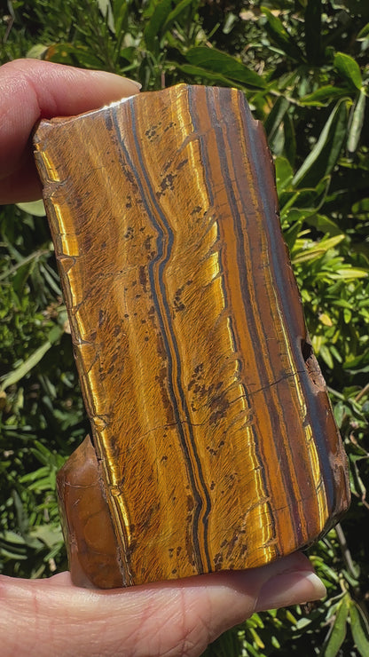 Tigers Eye Slab