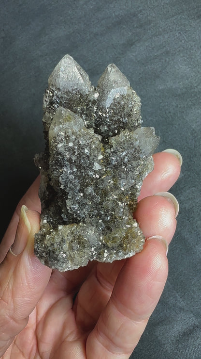 Black Spirit Quartz Cluster