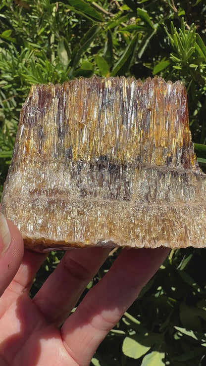 Raw Amber Calcite